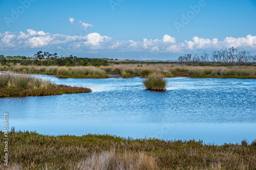 Native Australian coastal wetlands landscape