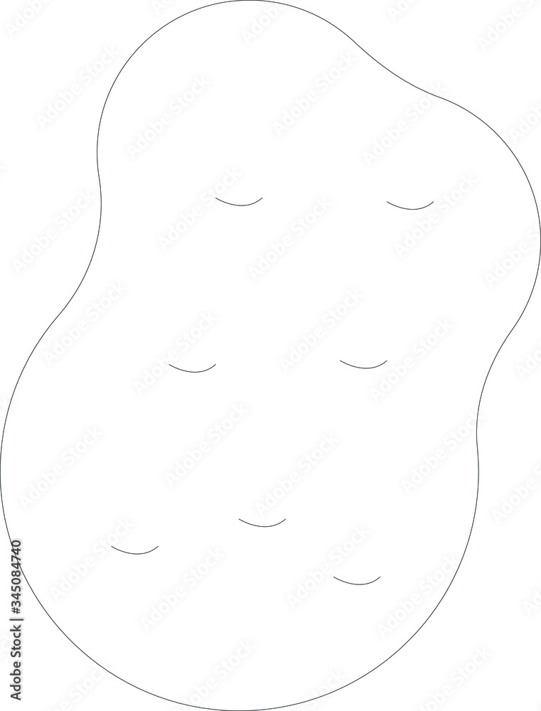 vegetable vegetable