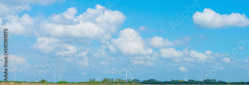 Spring is in the air with the green foliage of trees in a green pasture in sunlight below a blue cloudy sky