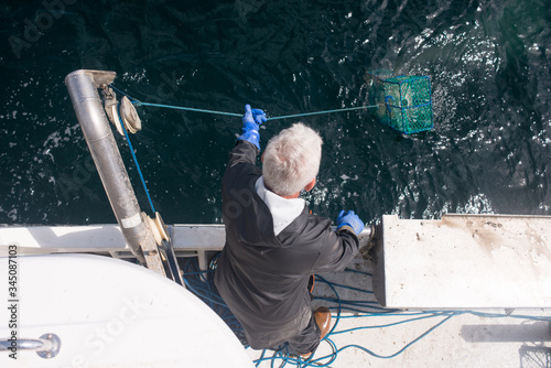 Man lowering lobster cage into the water