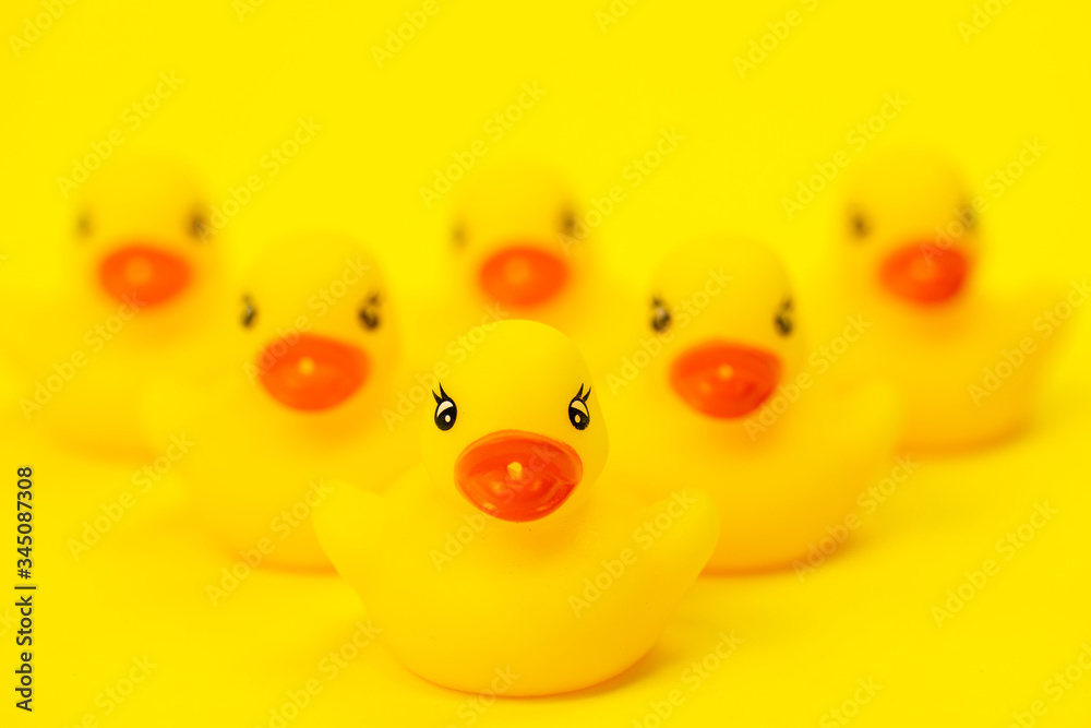 six rubber ducklings side by side in V-shape formation on yellow background. leadership concept, unity concept. Baby bath toys six rubber ducklings side by side in V-shape formation on yellow background. leadership concept, unity concept. Baby bath toys