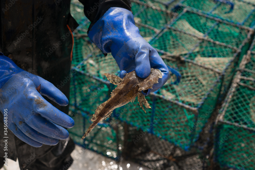 fisherman holding fish fisherman holding fish