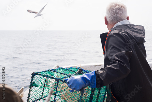 Man lowering lobster trap into the water