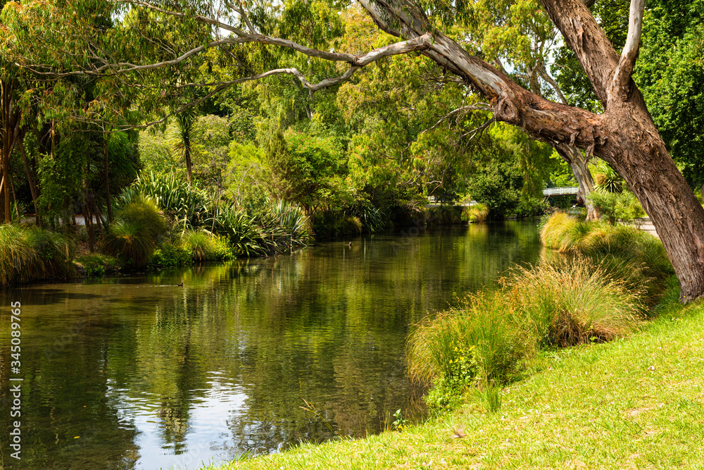 The Avon River running through Hagley Park in Christchurch in New Zealand. 