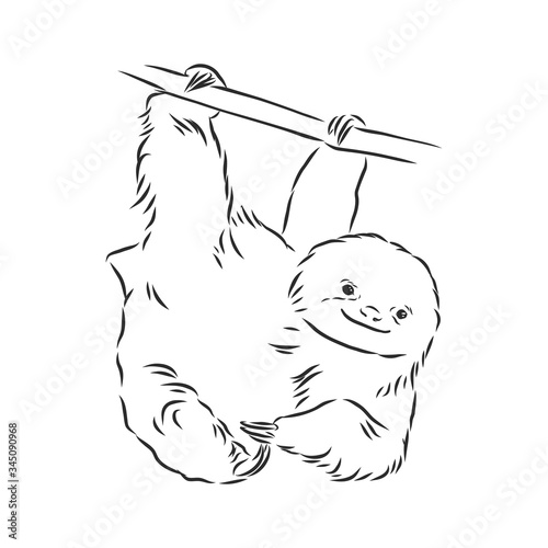 Sloth outline illustration, sloth, vector sketch illustration