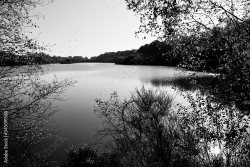 Hollandes lake in Rambouillet forest