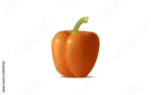realistic pepper chili isolated on a white background, vector illustration