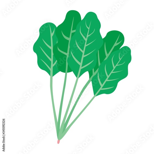 ほうれん草