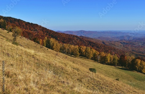 scene seen from above in autumn season from the top of mountain with colored and vibrant trees
