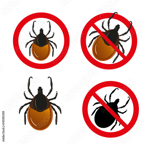 Mite set. Vector set of insect parasites ticks.
