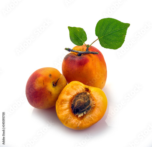 Isolated apricot. Fresh cut apricot fruits isolated on white background
