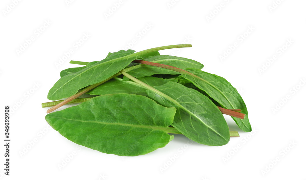 Heap of fresh sorrel leaves isolated on white background Heap of fresh sorrel leaves isolated on white background