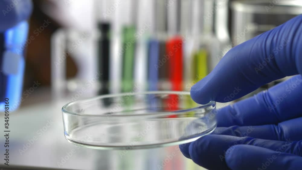 Pouring Liquid From Beaker into Glass Petri Dish in Laboratory in Blue Gloves Pouring Liquid From Beaker into Glass Petri Dish in Laboratory in Blue Gloves