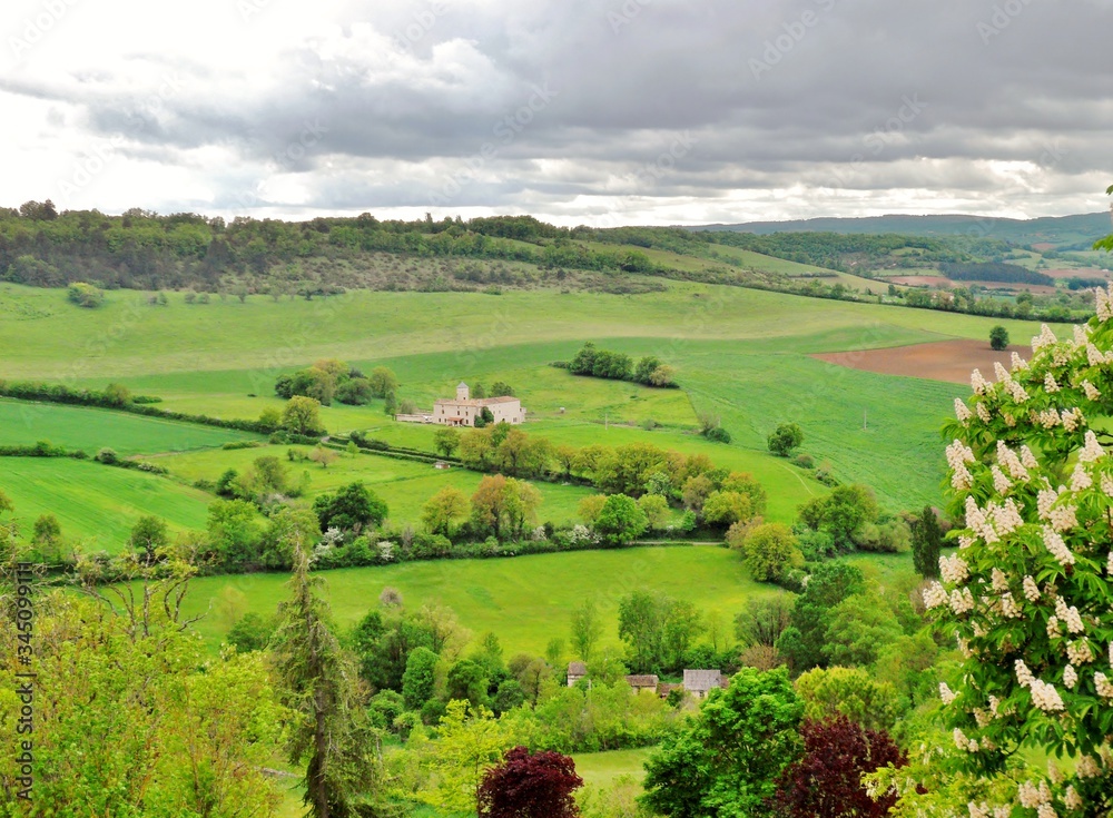 Fotografía de una típica estampa de la idílica región de la Dordogna francesa con diferentes tonos de color verde con arboles que bordean los los senderos