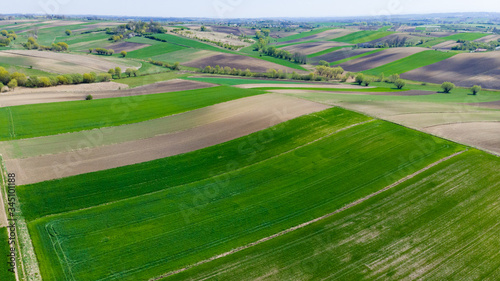 Cultivated Fields in Farmland at Countryside at Spring. Aerial Drone View