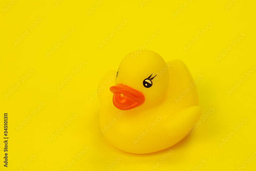 Yellow Rubber duck on yellow background minimal creative concept copy space. Minimal style trendy colorful paper backdrop concept of loneliness. Baby bath toys Yellow Rubber duck on yellow background minimal creative concept copy space. Minimal style trendy colorful paper backdrop concept of loneliness. Baby bath toys