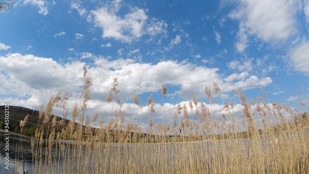 Fototapeta premium Park, See, Naturfotografie
