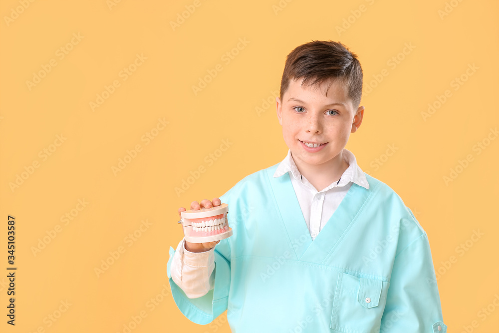 Little dentist with model of jaw on color background Little dentist with model of jaw on color background