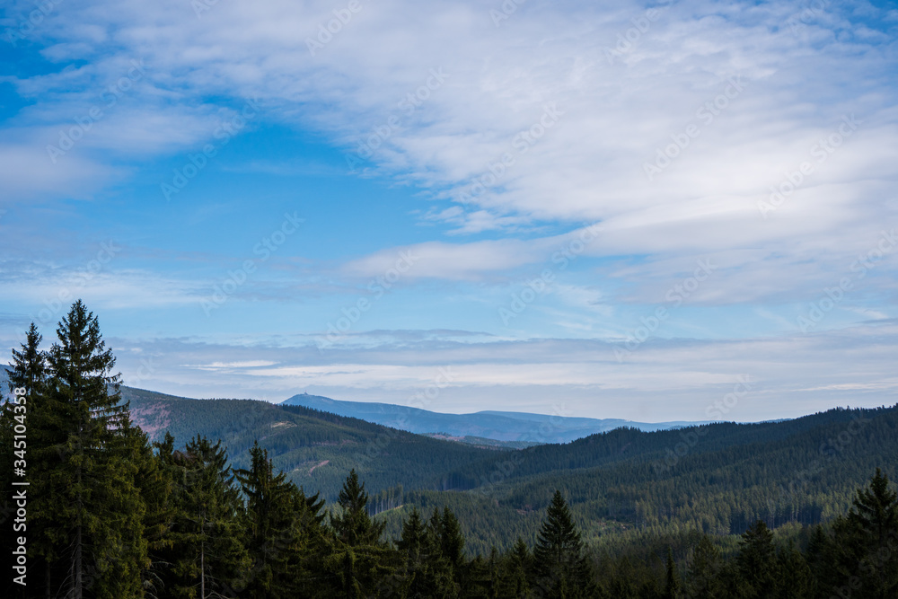view of beautiful spruce forests in the mountains , czech beskydy