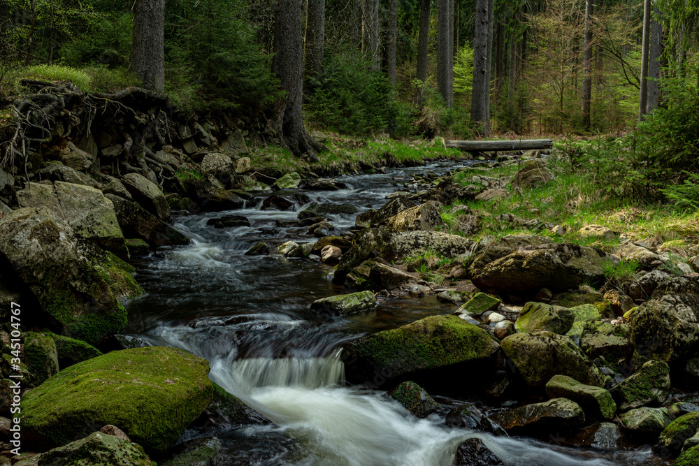 Schwarzwassertal Erzgebirge