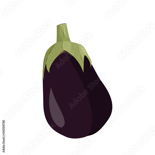 Eggplant whole realistic image. Vector illustration isolated on white background.