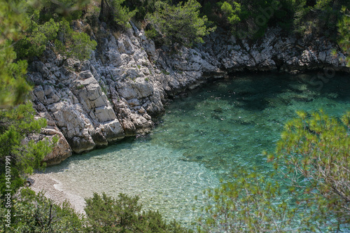 A beach surrounded by rocks, pines and a clear sea