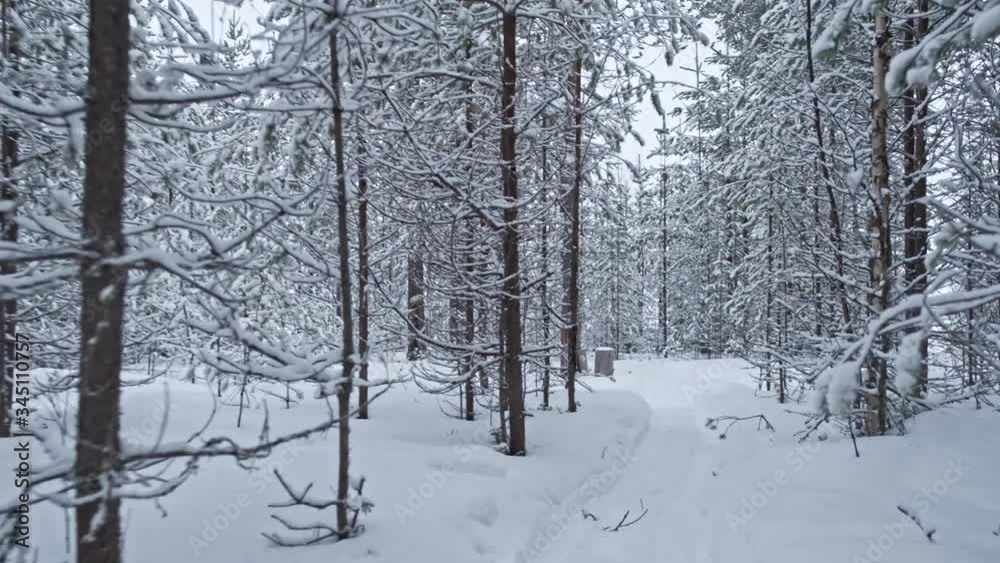 Walk along the forest trail in winter with trees beautifully covered with snow. POV shot Walk along the forest trail in winter with trees beautifully covered with snow. POV shot