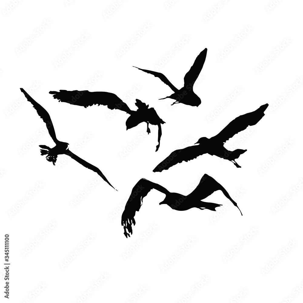 Set of Black birds illustration Set of Black birds illustration
