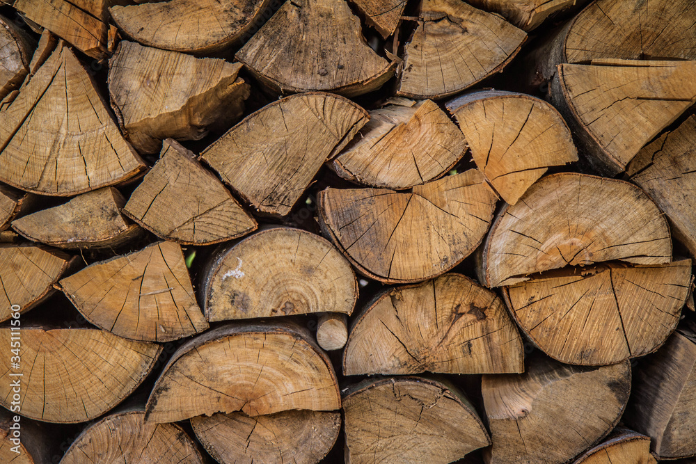 Pile of tree trunks chopped for firewood Pile of tree trunks chopped for firewood
