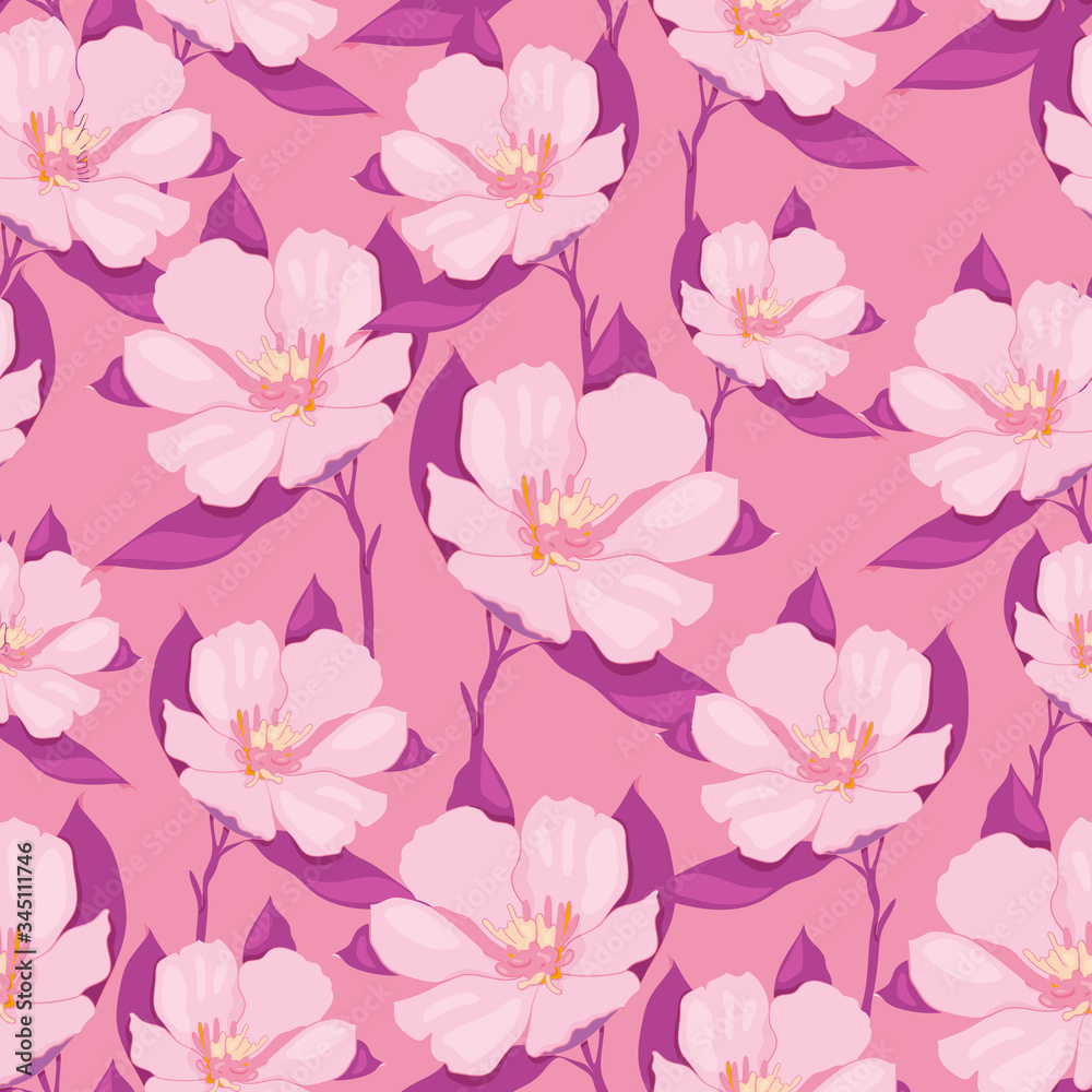 Seamless vector pattern of Chemernik on a pink background. Pattern of winter flowers. Use for printing, textiles, design, design, leaflets, greetings, websites, wallpapers and wrapping paper.