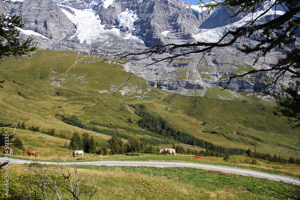 Naklejka premium Beautiful Sceneries on Jungfrau Railway