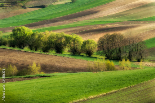 Beautiful landscape of plowed fields durins spring © Piotr Krzeslak