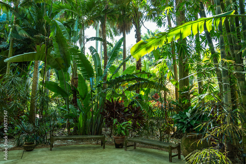 View of Sunken Gardens, in Saint Petersburg/Florida.