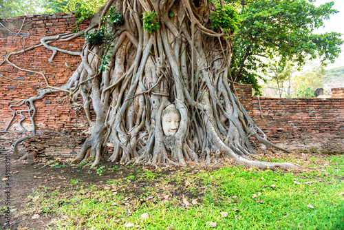 View of Buddha head in tree roots at brick wall in ruins of Wat Mahathat temple. Ayutthaya, old historical and religious capital of Thailand