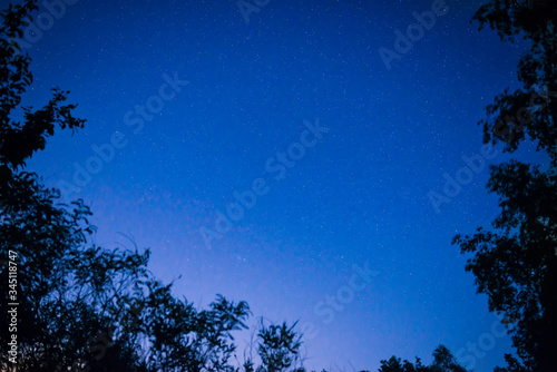 Night dark blue sky in forest with bright stars as space background