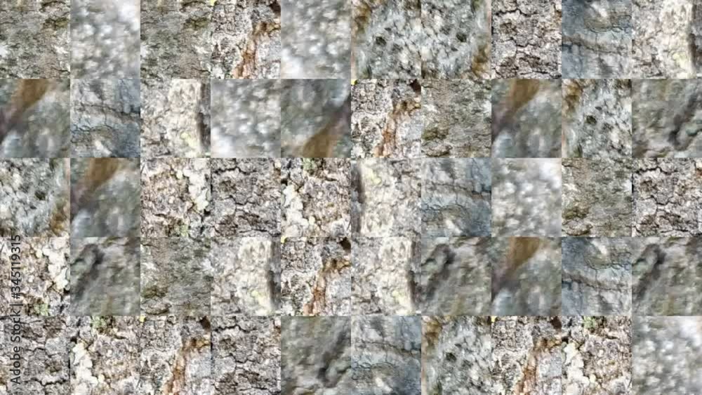 Abstract video from mosaic textures from elements of a brown bark of a tree. Background design. Backdrop. Wallpaper. Abstract video from mosaic textures from elements of a brown bark of a tree. Background design. Backdrop. Wallpaper.