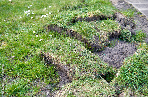 Bild auf Leinwand Turf placed on the grass in the garden