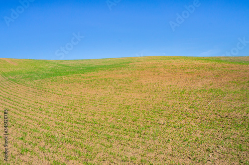 Beautiful rural landscape with green grass and blue sky