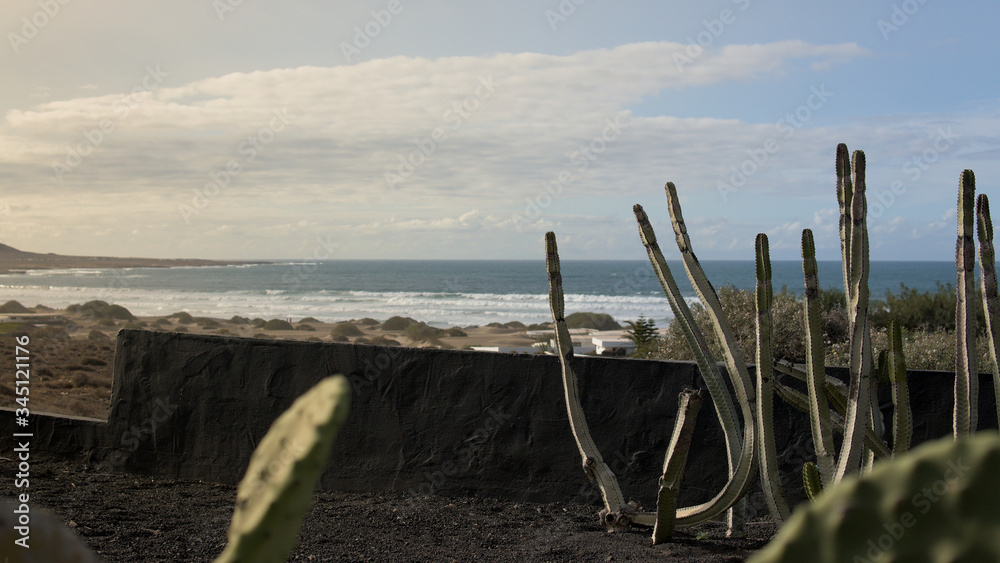 Typical Lanzarote view with cactus, beach and lava stone wall, Canarie Islands