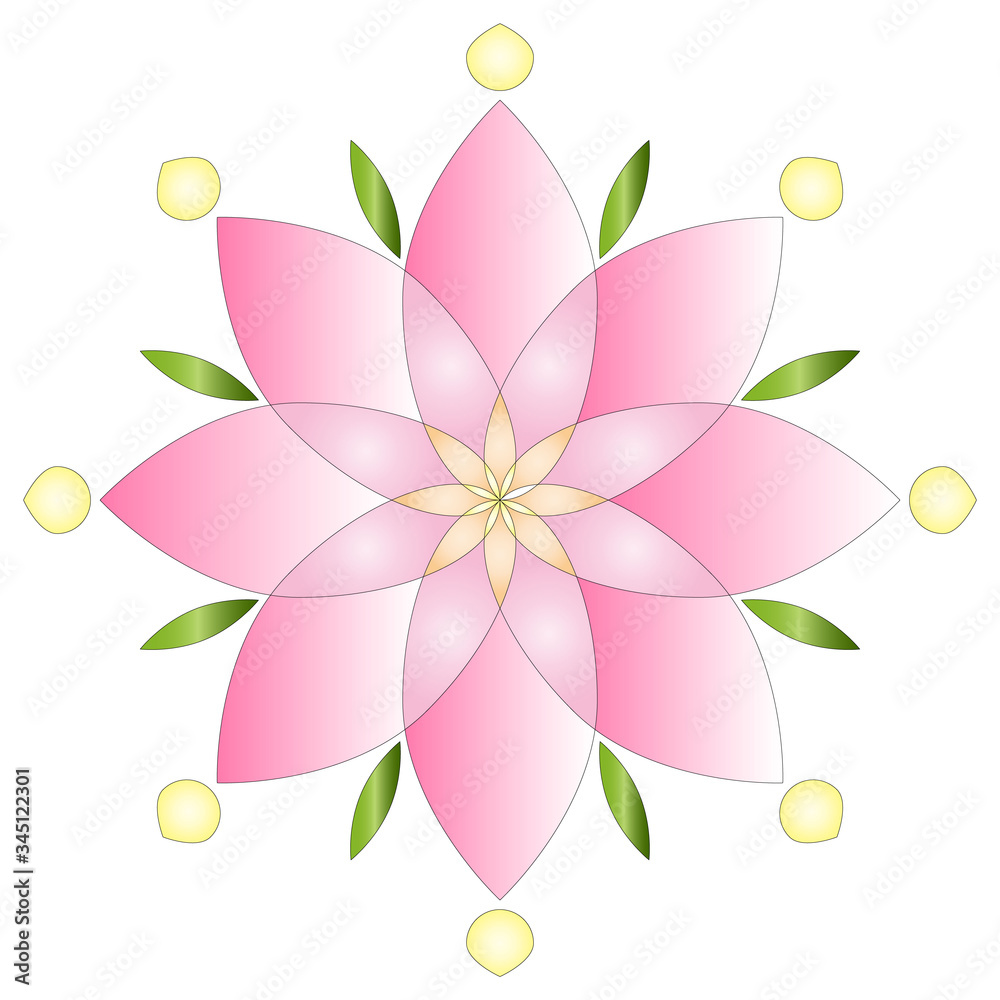 Fototapeta premium pink lotus flower Mandala design