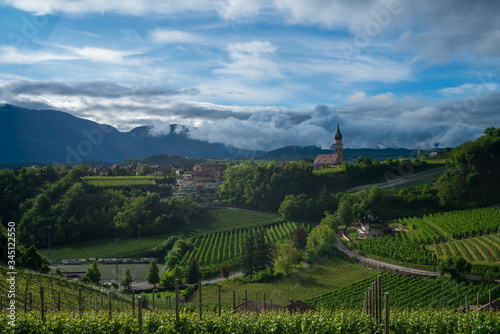 Vineyards in Appiano in Italian South Tyrol.