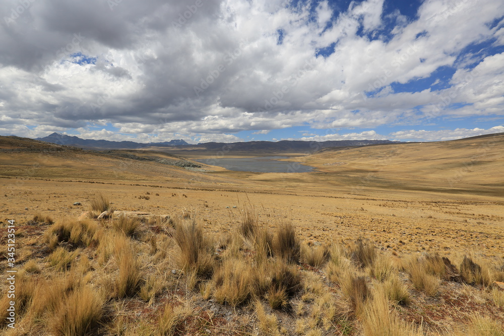 Peruvian landscape, towards the Conococha pass
