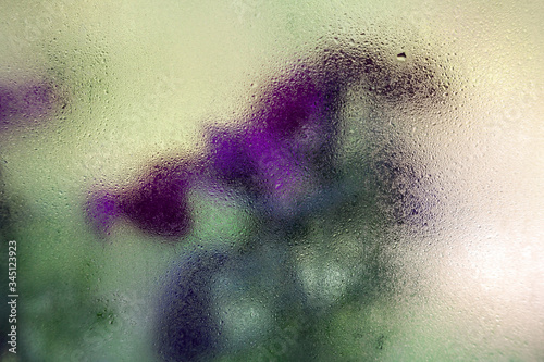 Purple flowers behind the wet glass
