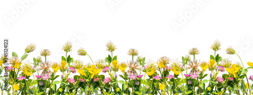 Wild flowers border isolated on white background