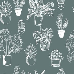Keuken achterwand Planten in pot patronen Zwart-witte kamerplanten in potten  © alina_galieva