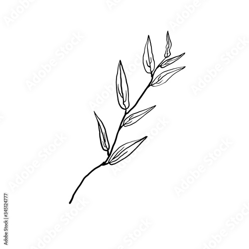 Simple not perfect black branch silhouette with leaves. Icon illustration isolated on white. Hand drawing vector asia sign, symbol. Wabi sabi japanese style.
