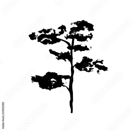 Simple not perfect black silhouette imprint tree pine, bonsai . Illustration isolated on white. Hand drawing vector asia sign, symbol. Wabi sabi japanese style. photo