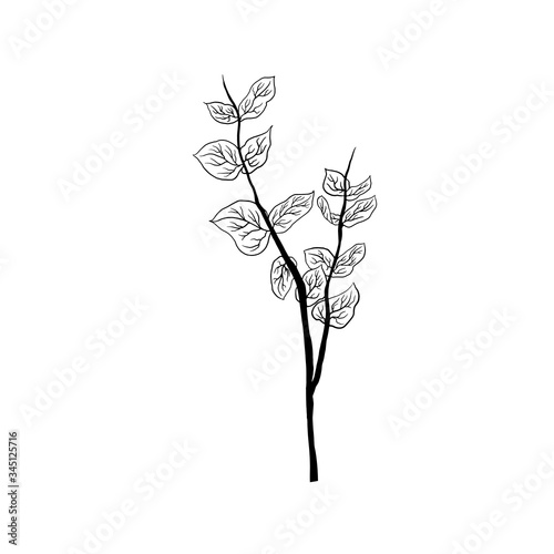 Simple not perfect black branch silhouette with leaves. Icon illustration isolated on white. Hand drawing vector asia sign  symbol. Wabi sabi japanese style.