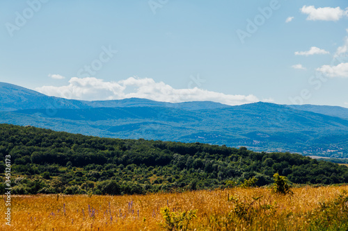 landscape of beautiful forest nature with fields and blue sky