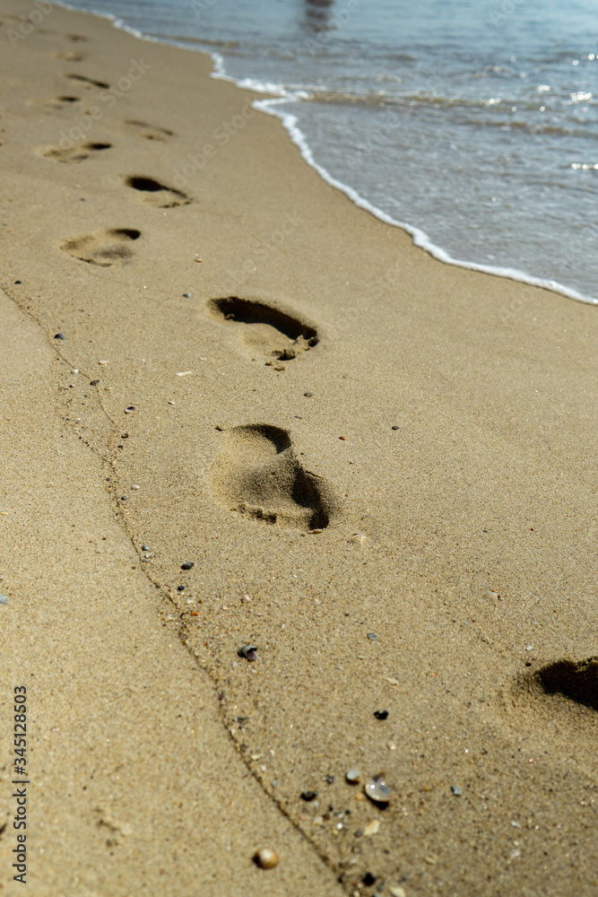 footprints of a person in the wet sand of a beach